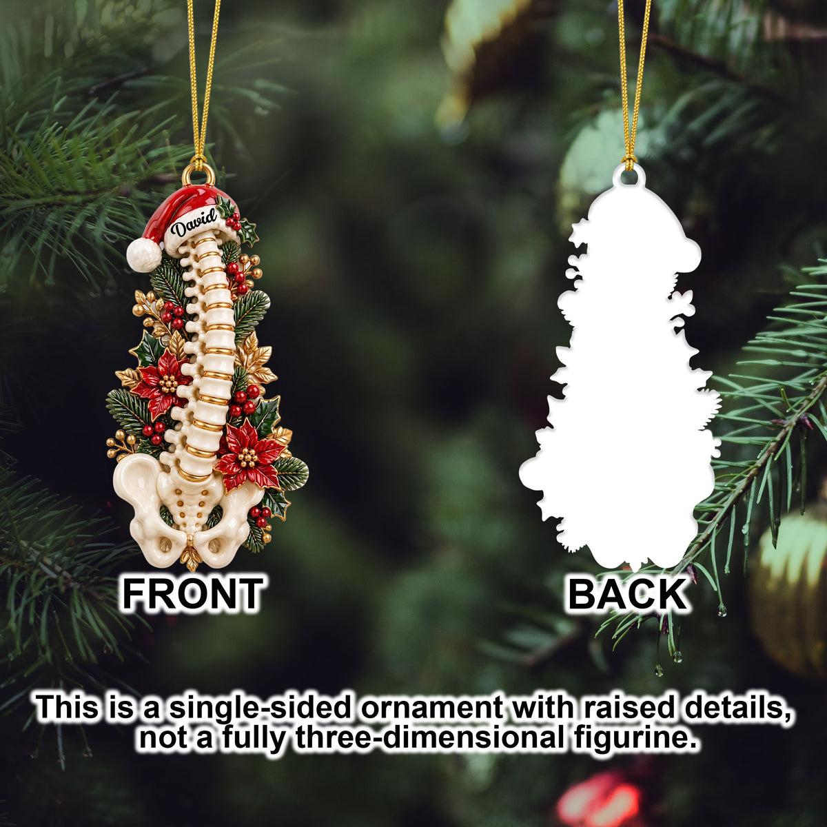 Personalized Chiropractor Christmas Ornament, Spine Spine Keepsake NPND6100760